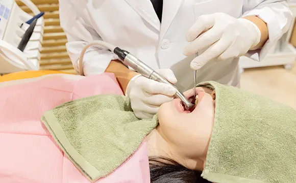 お口の美しさと「胃腸の健康」を同時に叶える